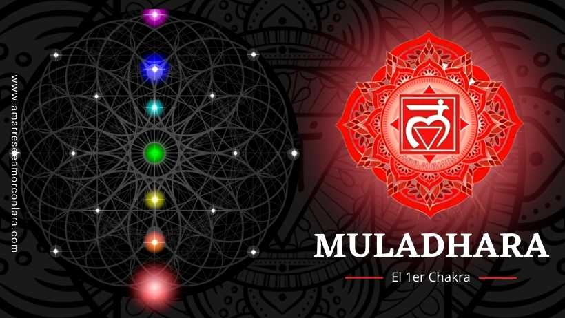 muladhara el primer chakra